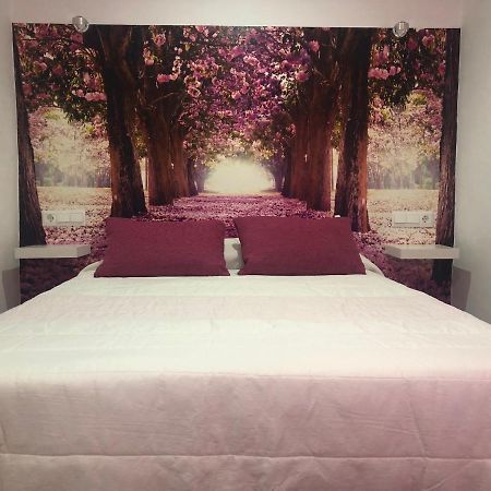 Apartamento De Lola Setenil De Las Bodegas Exteriör bild